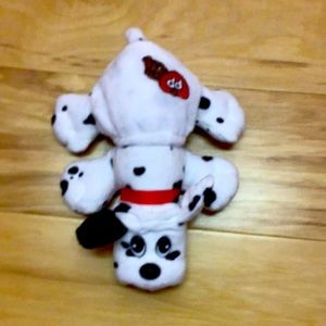 Dalmatian pound puppy dog